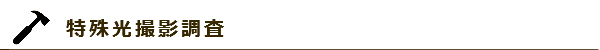 特殊光撮影調査